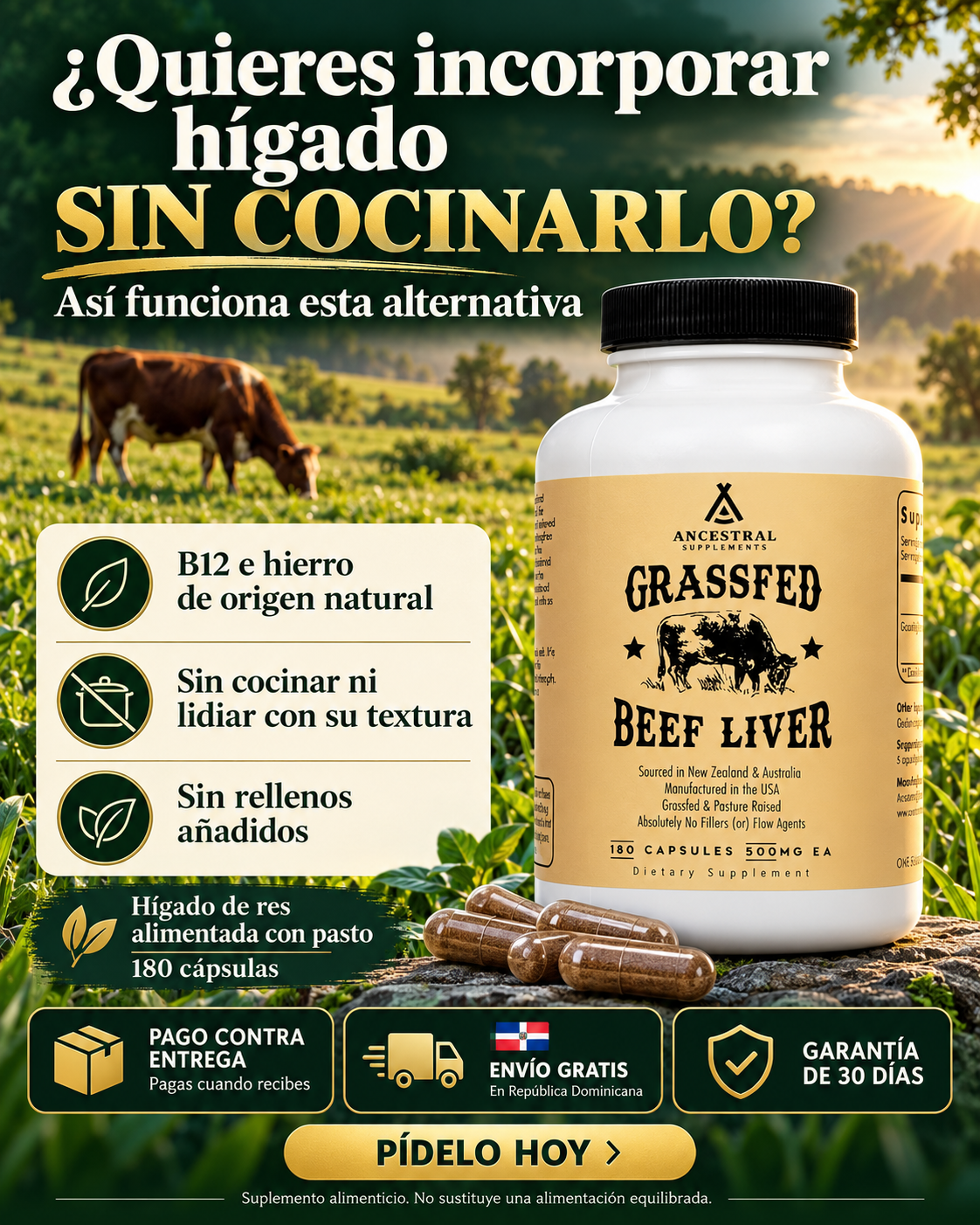 Suplemento de Hígado de Res 100% Alimentado con Pasto – Nutrición Ancestral y Energía Vital (Liofilizado)